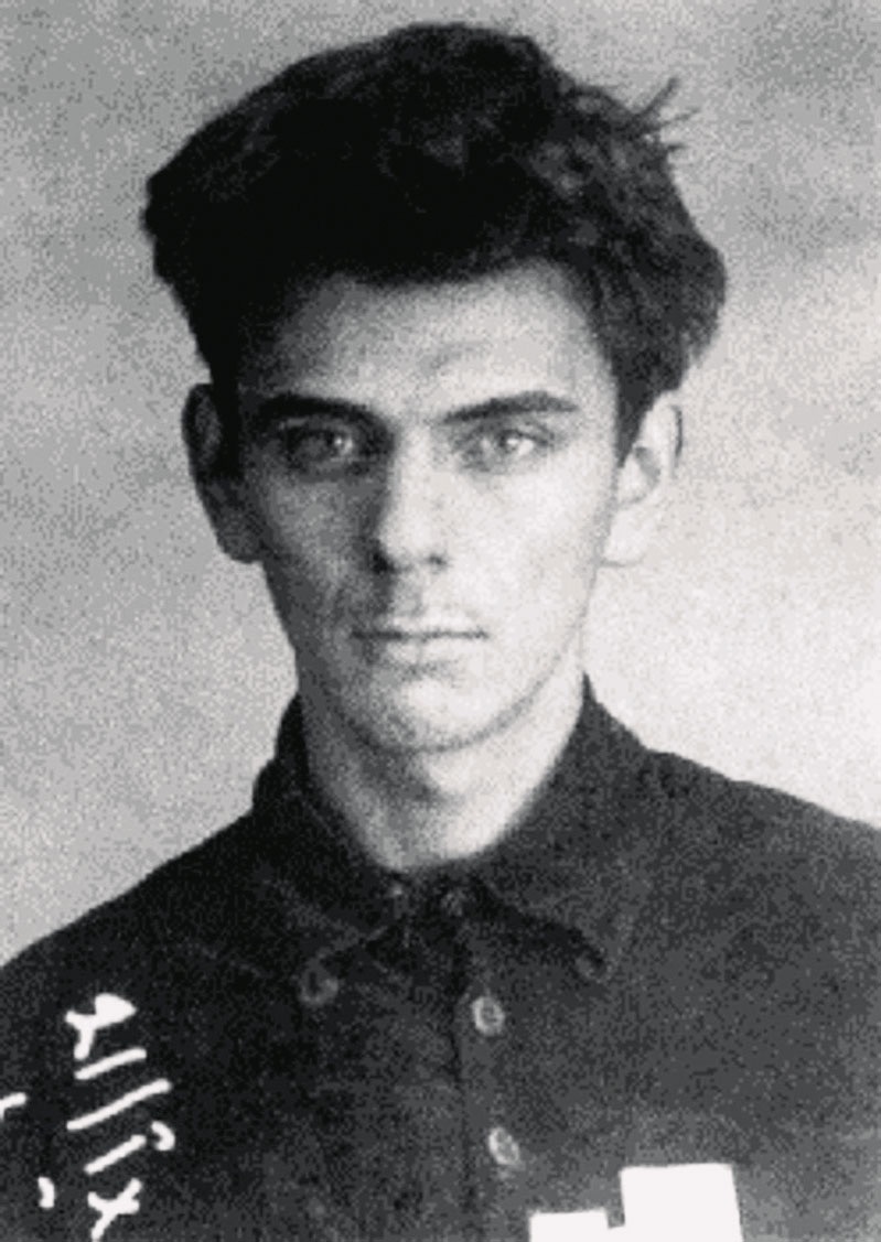 Юрий Домбровский фото