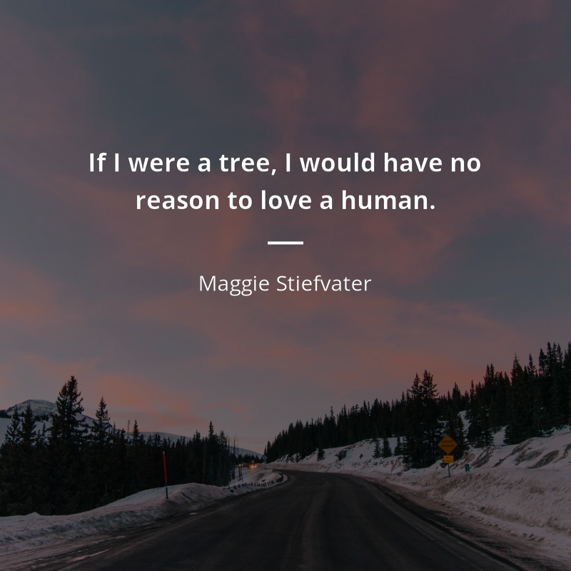 Maggie Stiefvater цитата: “If I were a tree, I would have no reason to love a human.”