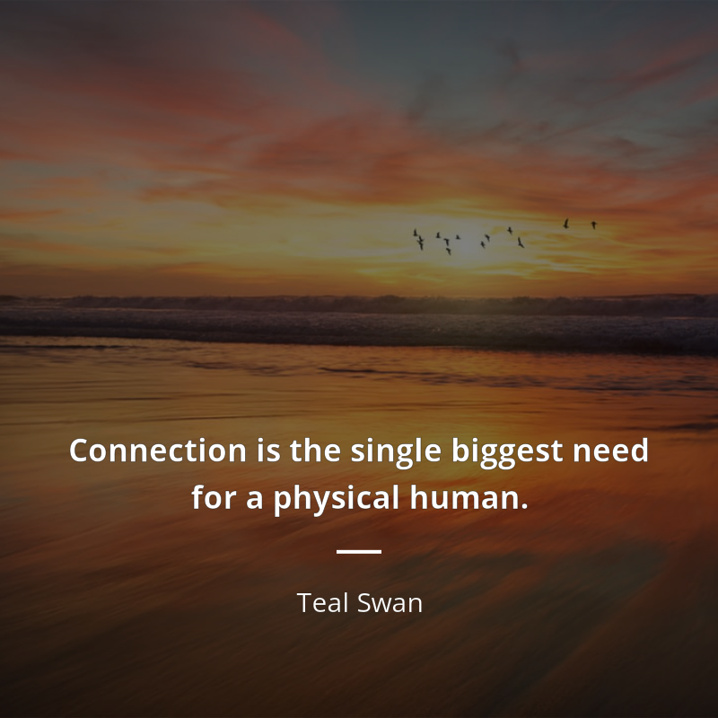 Teal Swan цитата: “Connection is the single biggest need for a physical human.”