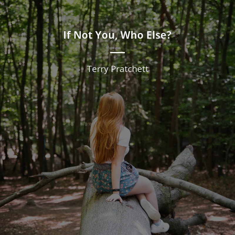 Terry Pratchett цитата: “If Not You, Who Else?”